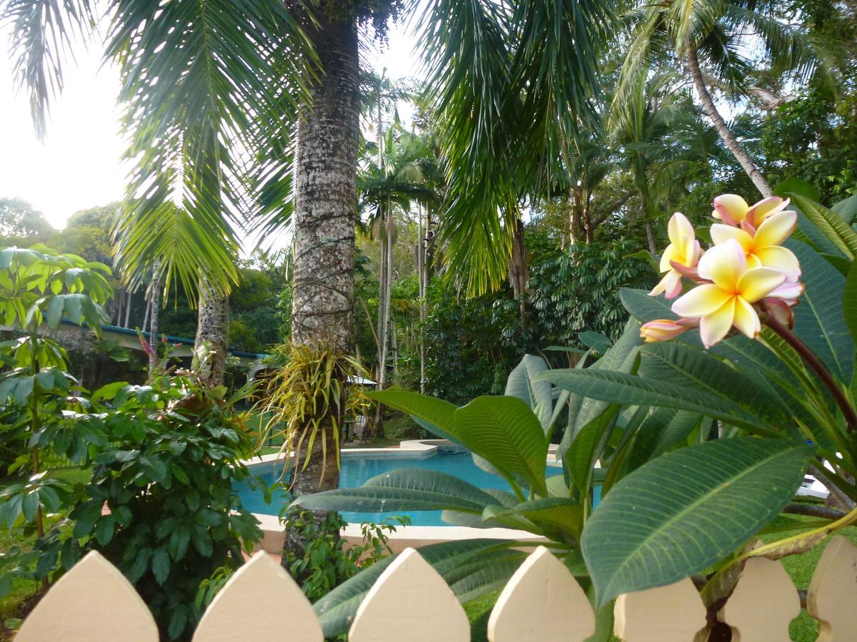 Villa Marine Holiday Apartments Cairns Yorkeys Knob Dış mekan fotoğraf